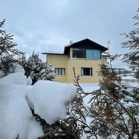 Kartalkaya